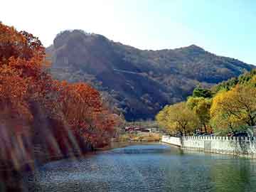 新澳天天开好彩大全，10月13日